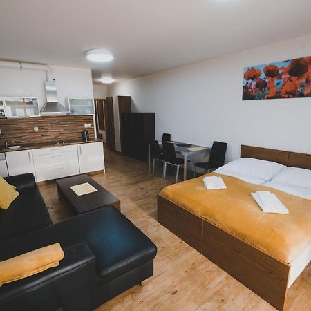 Apartman Max Lipno 伏尔塔瓦河畔利普诺 外观 照片