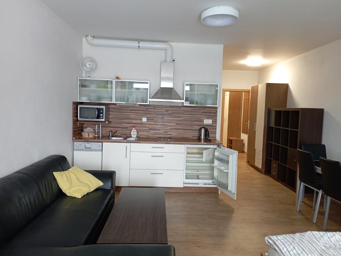Apartman Max Lipno 伏尔塔瓦河畔利普诺 外观 照片